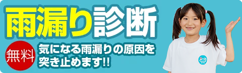 雨漏り診断
